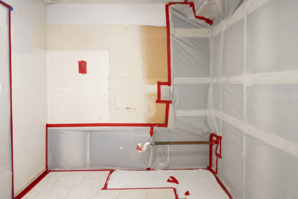 Best Crawl Space Mold Remediation  in Clayton, CA
