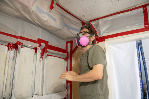 Best Mold Odor Removal Services  in Clayton, CA