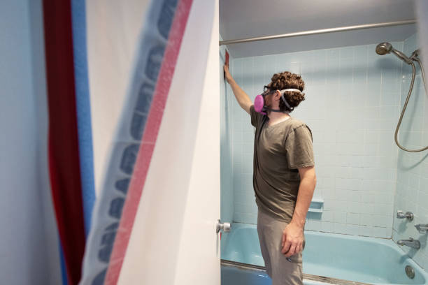 Best Comprehensive Air Testing for Mold Contaminants  in Clayton, CA