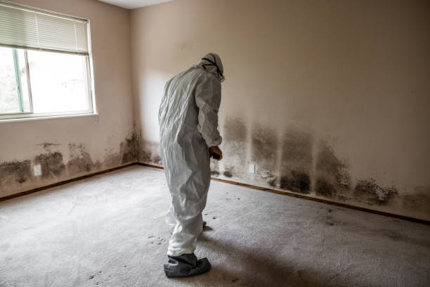Best Forensic Mold Investigation  in Clayton, CA